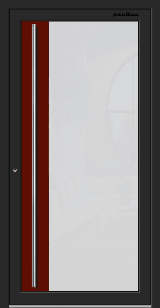 B029 - Flügelüberdeckende ALU Haustür – Bild 5