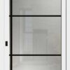 Typ 6063-03 Rodenberg Premium Ganzglas-Haustürfüllung