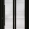 Typ 6072-03 Rodenberg Porta Plus Ganzglas-Haustürfüllung