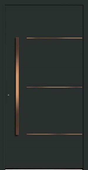 Typ 6172-47 Rodenberg Premium Kunststoff-Haustürfüllung