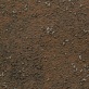 Art Corten (2383-31)